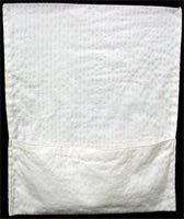 Envelope Style Bag